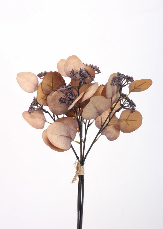 Desiccated Eucalyptus Leaves