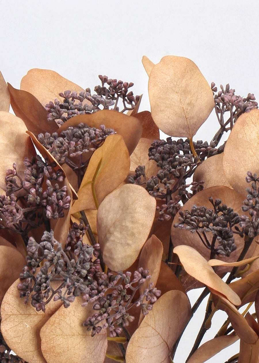 Dried Eucalyptus Leaves, Natural Preserved Bunch