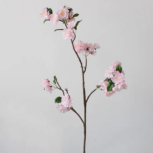  Light Pink Cherry Blossoms