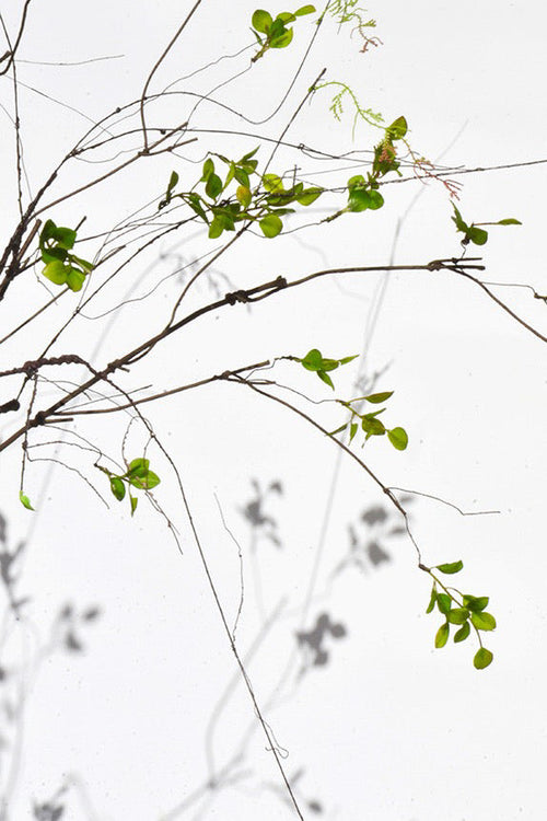 Artificial Autumn Leaves Branch - 39.4"