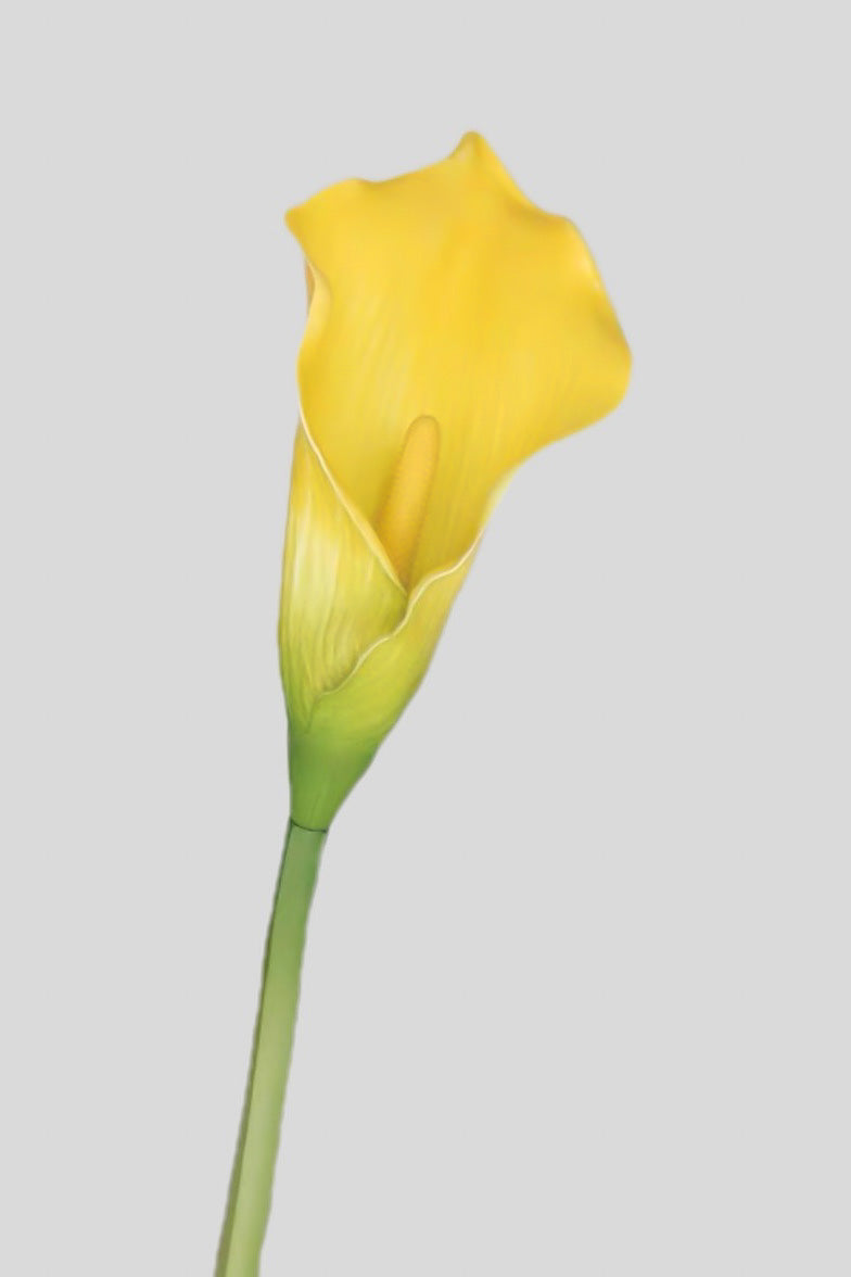Artificial Calla Lily Flower - 5.9" - view 6