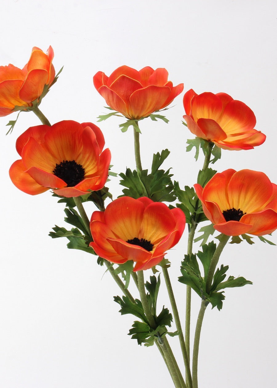 Silver Lotus - 21" red