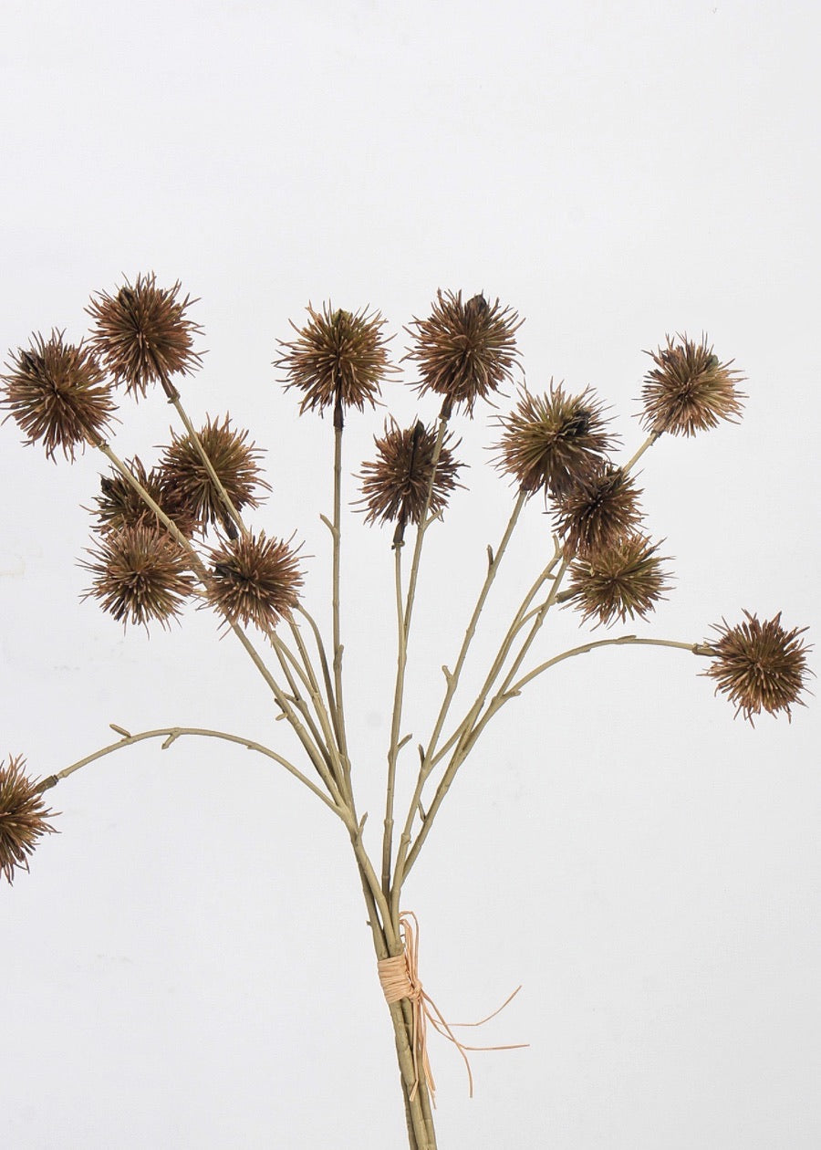 Autumn Chestnut Branch