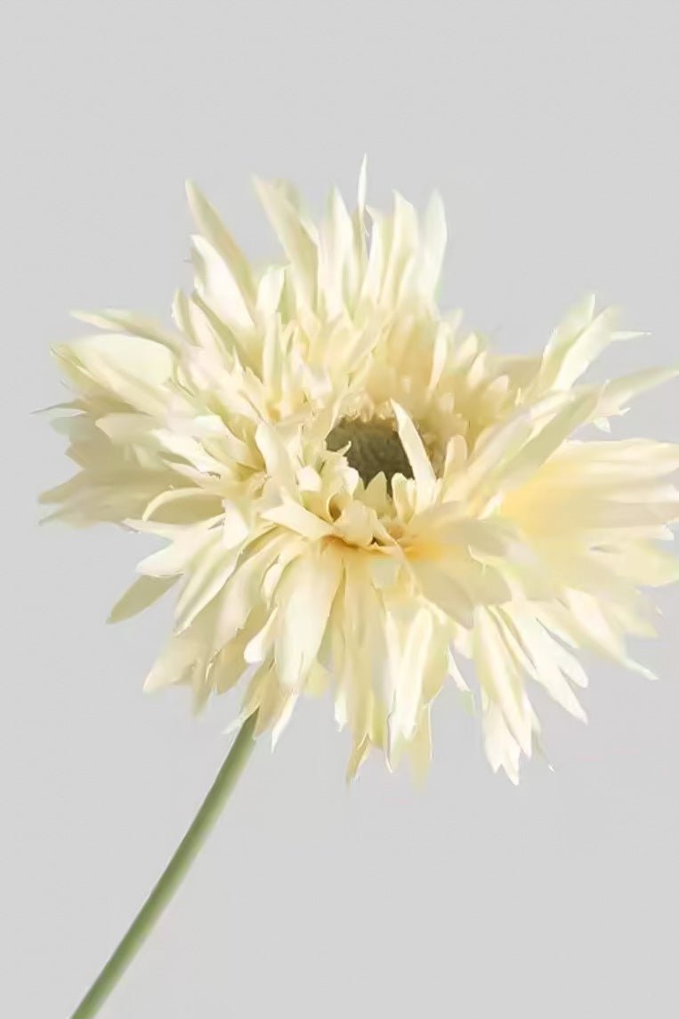 Artificial Gerbera Daisy Stem - 16.5" - view 2