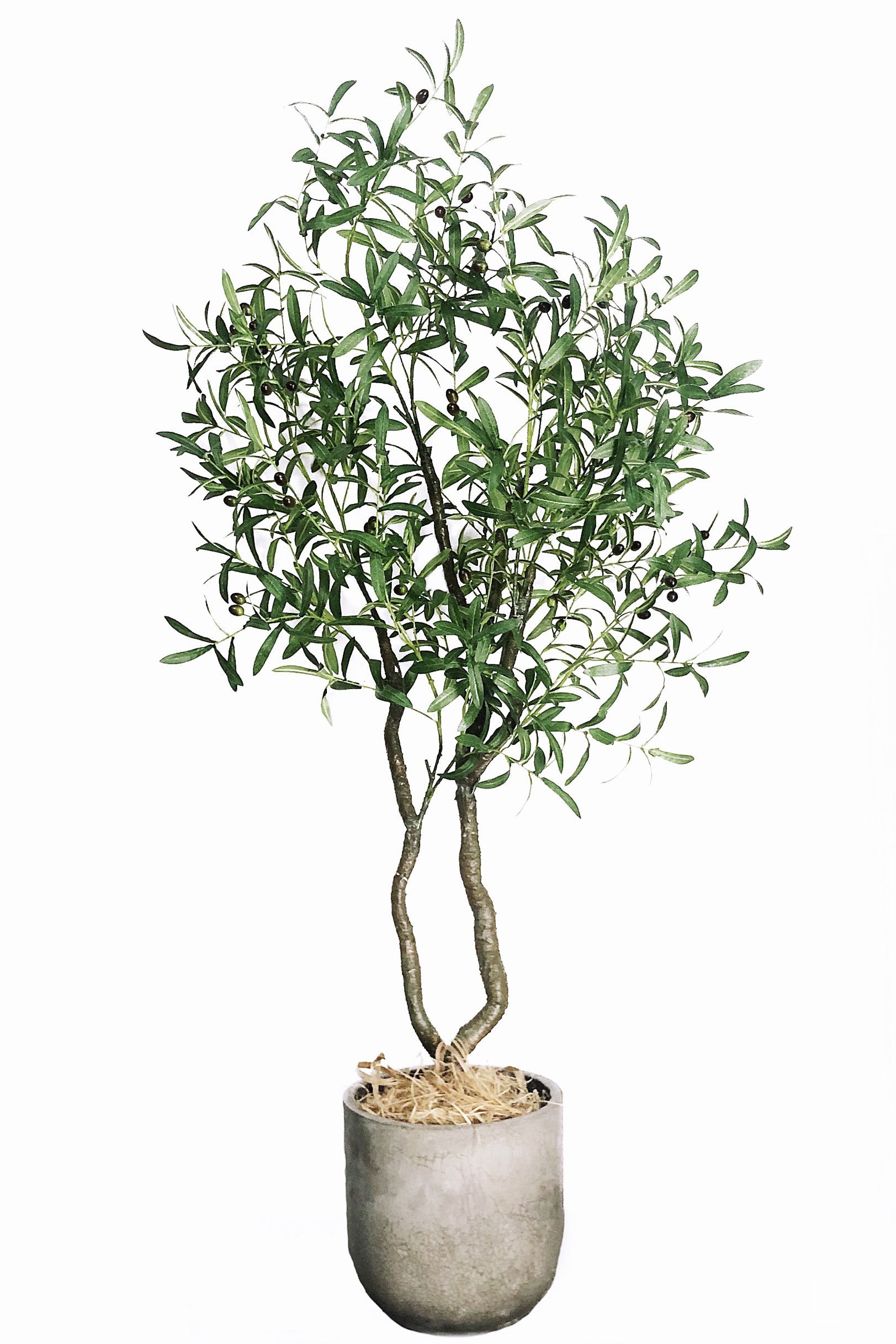 Mediterranean Majesty Artificial Olive Tree - 70.9"