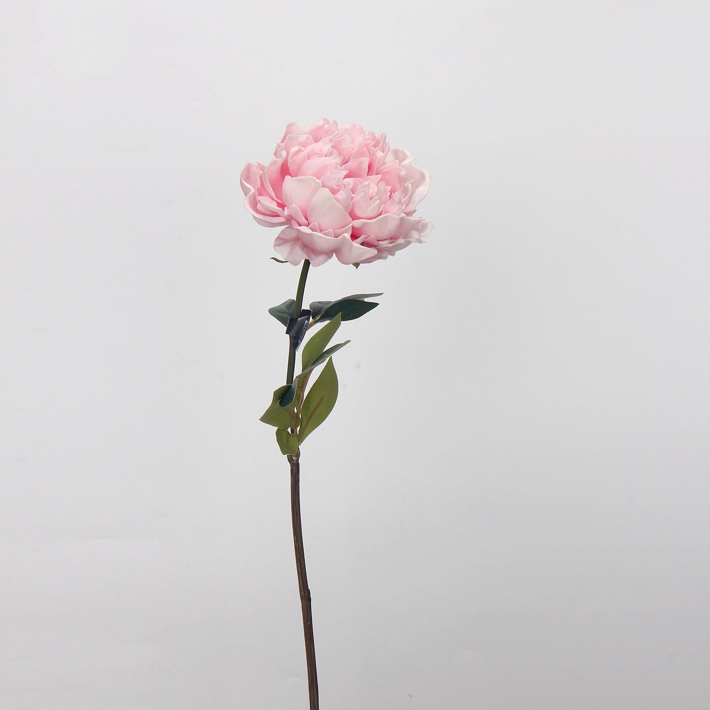 Real-Touch Peony