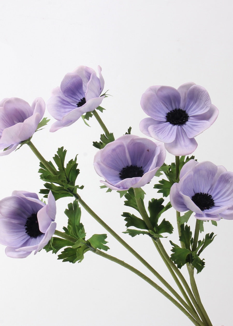 Silver Lotus - 21" purpule