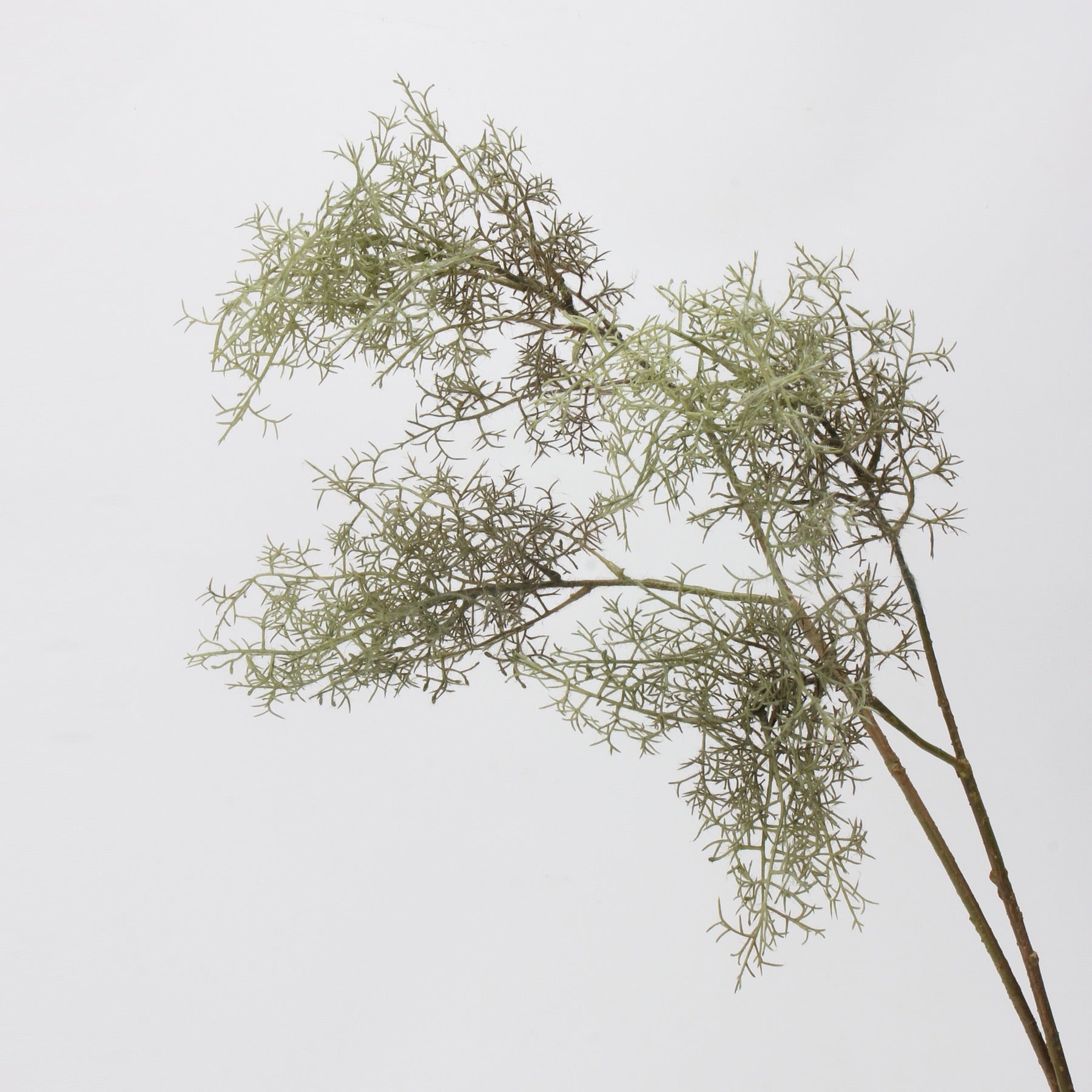 Artificial Smoke Tree Stem - 31"