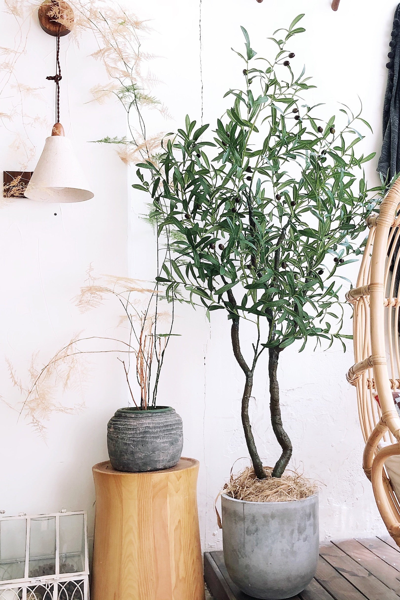 Mediterranean Majesty Artificial Olive Tree - 70.9"