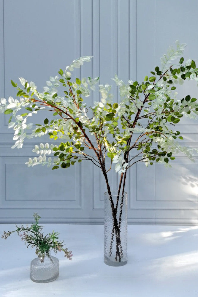 Violet Harmony Wisteria Leaves