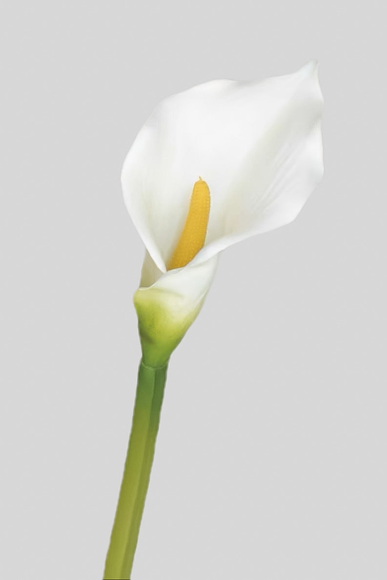 Artificial Calla Lily Flower - 5.9" - view 7