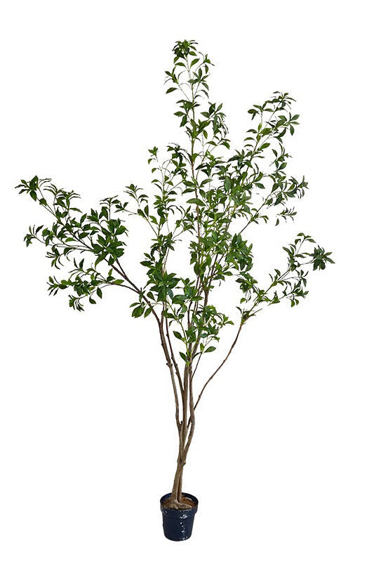 Artificial Japanese Pieris Branch, Tall - 74.8"