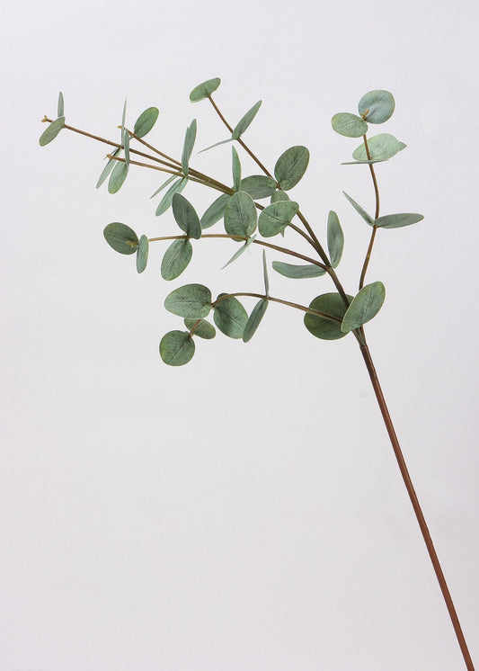 Eucalyptus Foliage Radiance