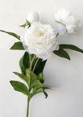 Pink Peony Artificial Flower Stem - 29.1"