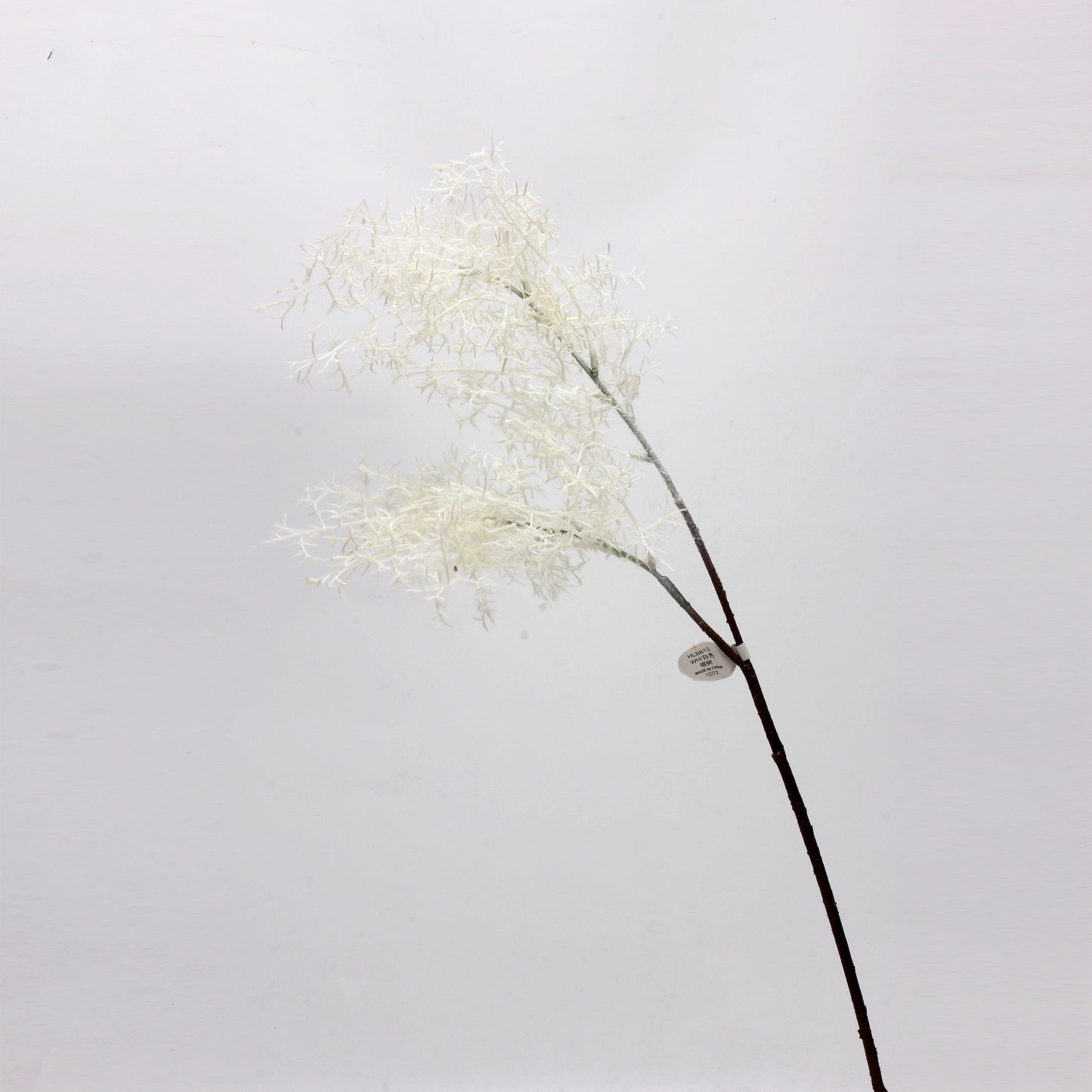 Smoke Tree Elegance Stem-white