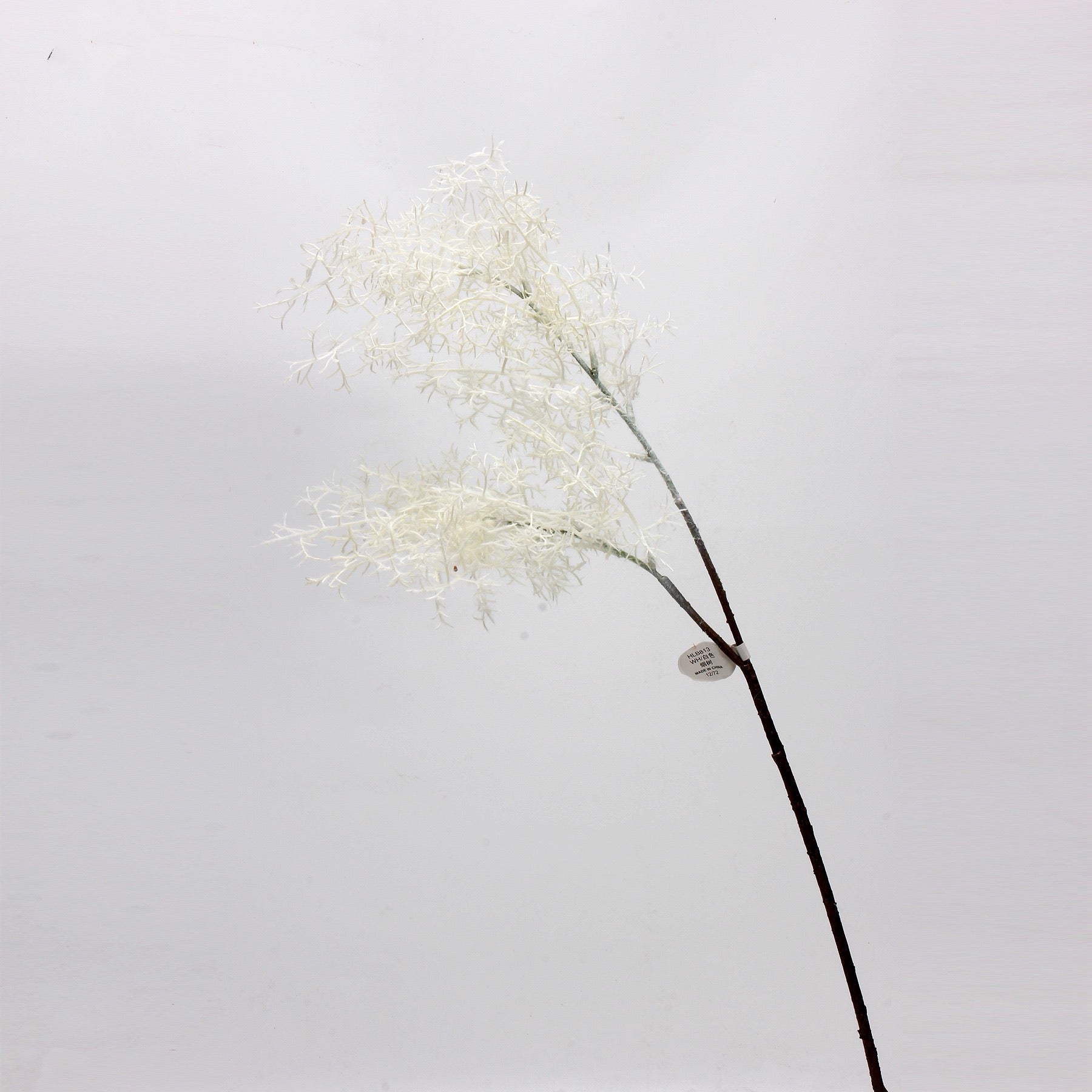 Smoke Tree Elegance Stem-white