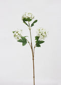 Artificial Snowball Flower Stem, White - 31"
