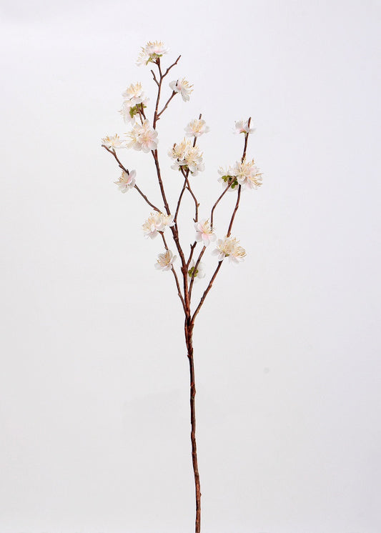 Ethereal White Cherry Blossom