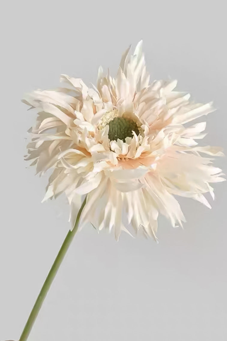 Artificial Gerbera Daisy Stem - 16.5" - view 7
