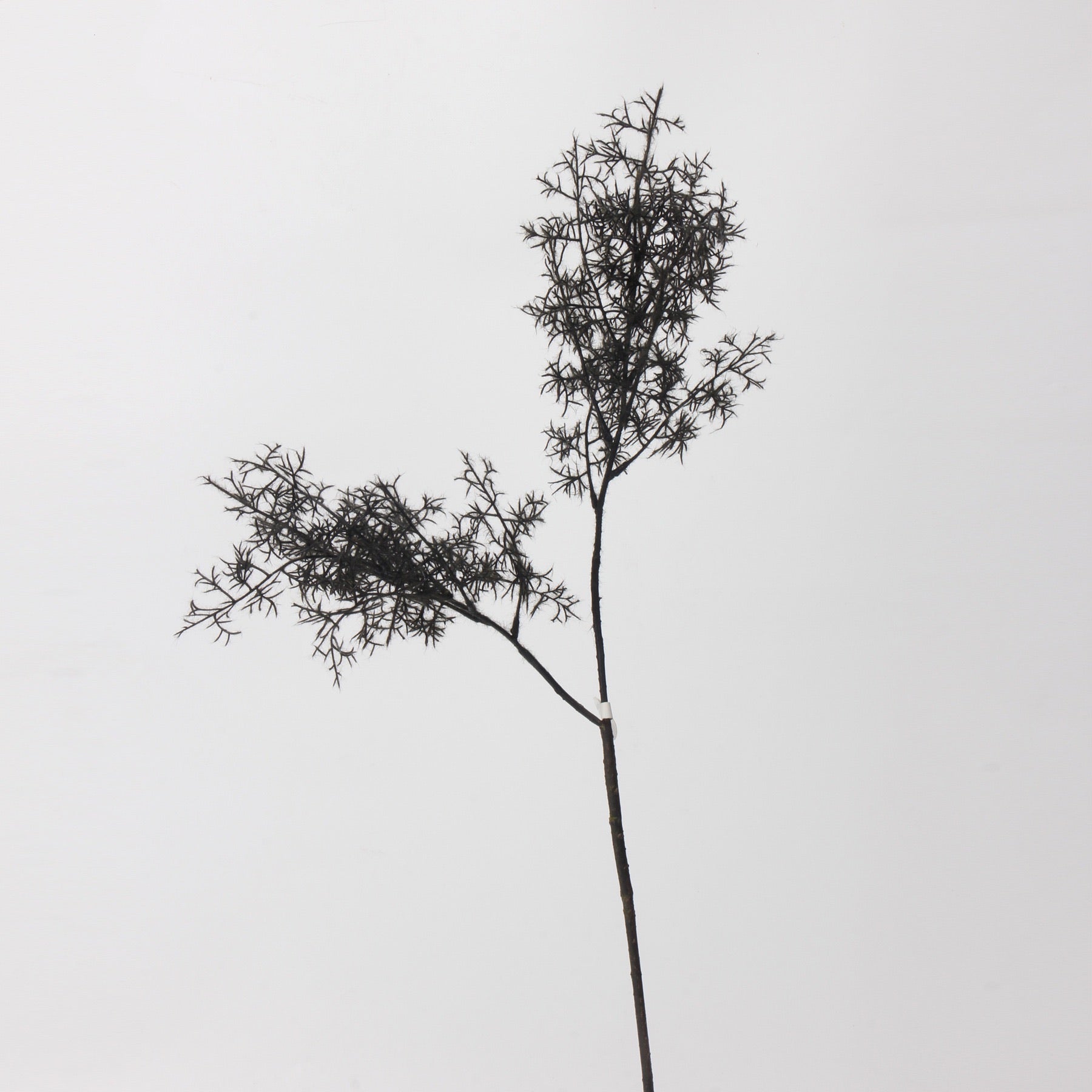 Artificial Smoke Tree Stem - 31" - view 2