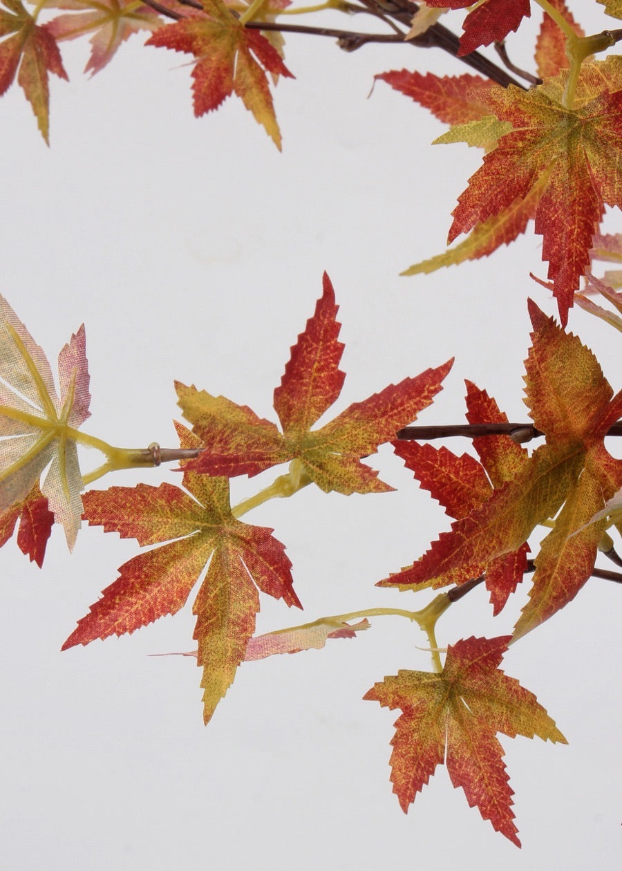 Aussie Wax Flower Delight