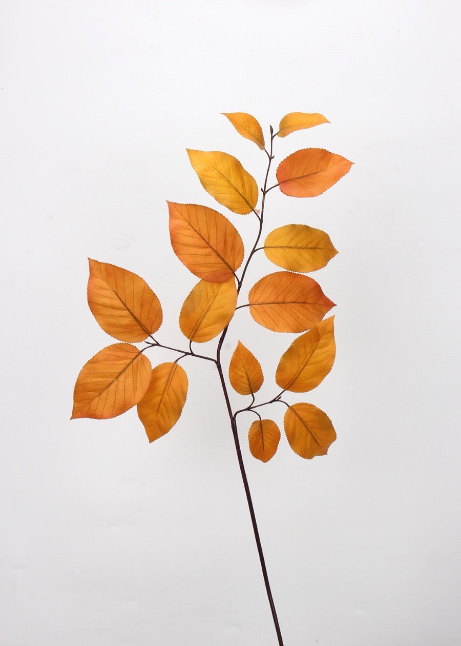 Rustic Autumnal Leaf Branch