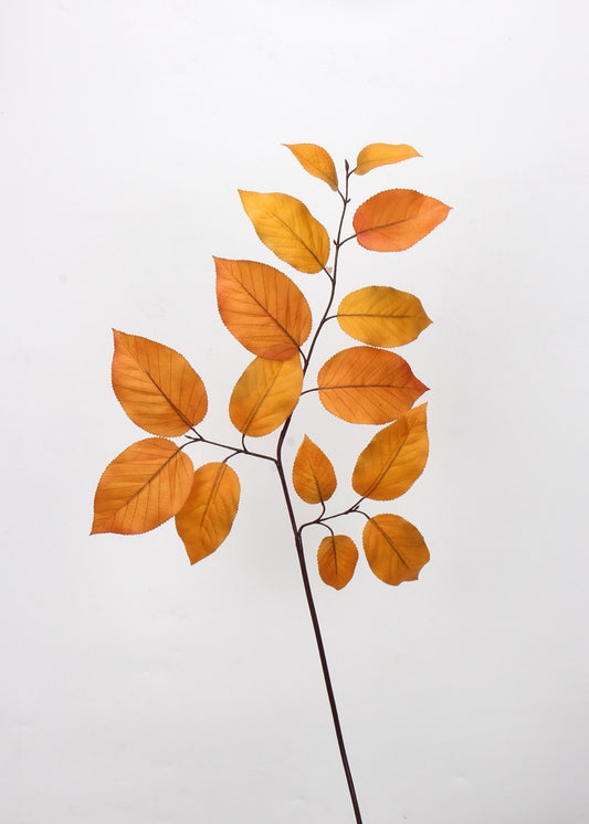 Rustic Autumnal Leaf Branch