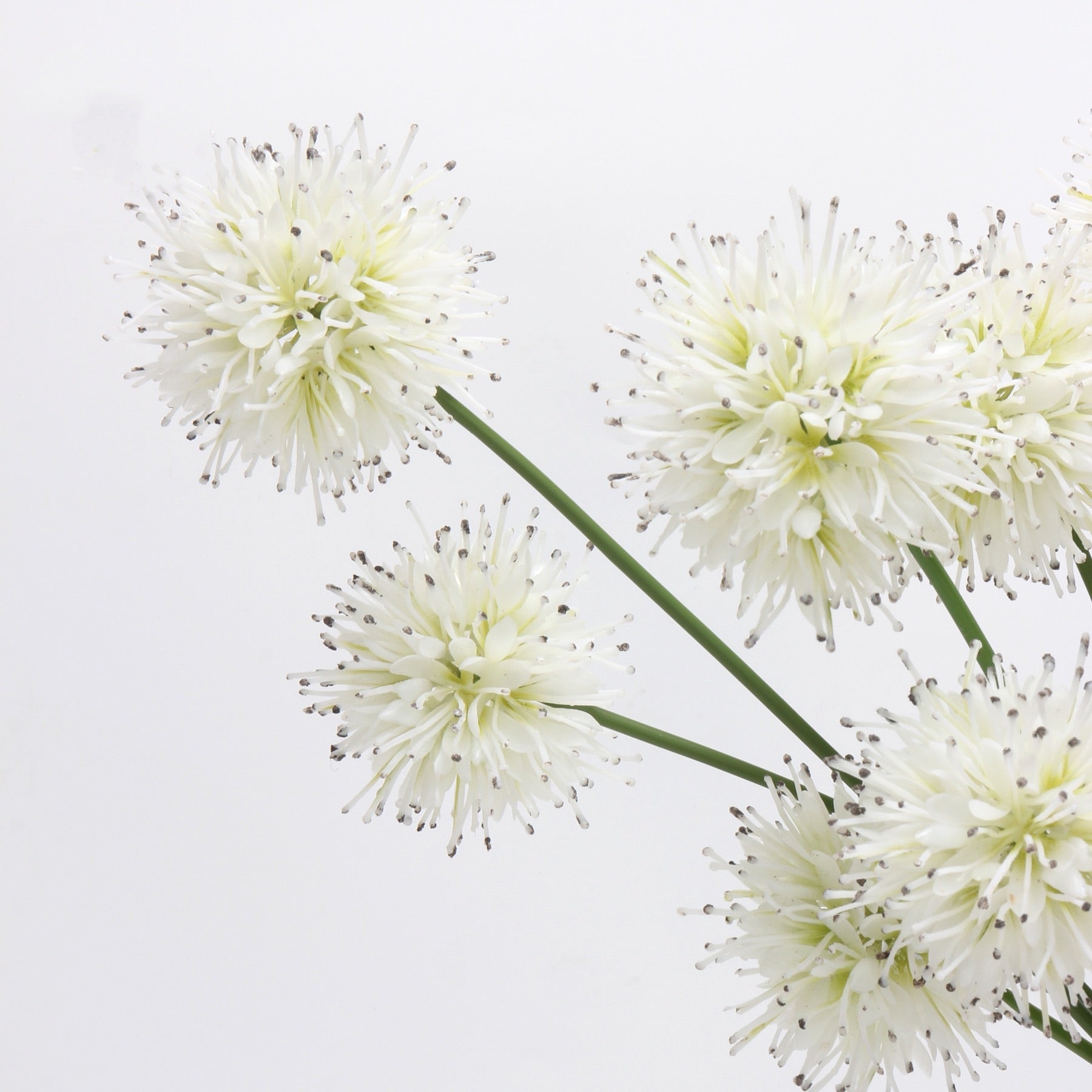  White Dandelion Artificial Flower
