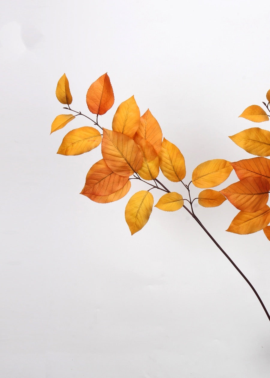Rustic Autumnal Leaf Branch