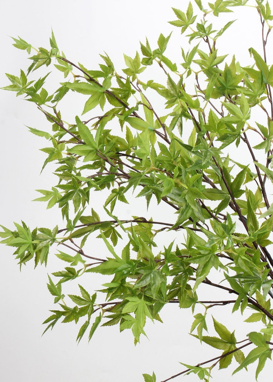 Artificial Wax Flower Stem, Australian Native - 25" - view 4