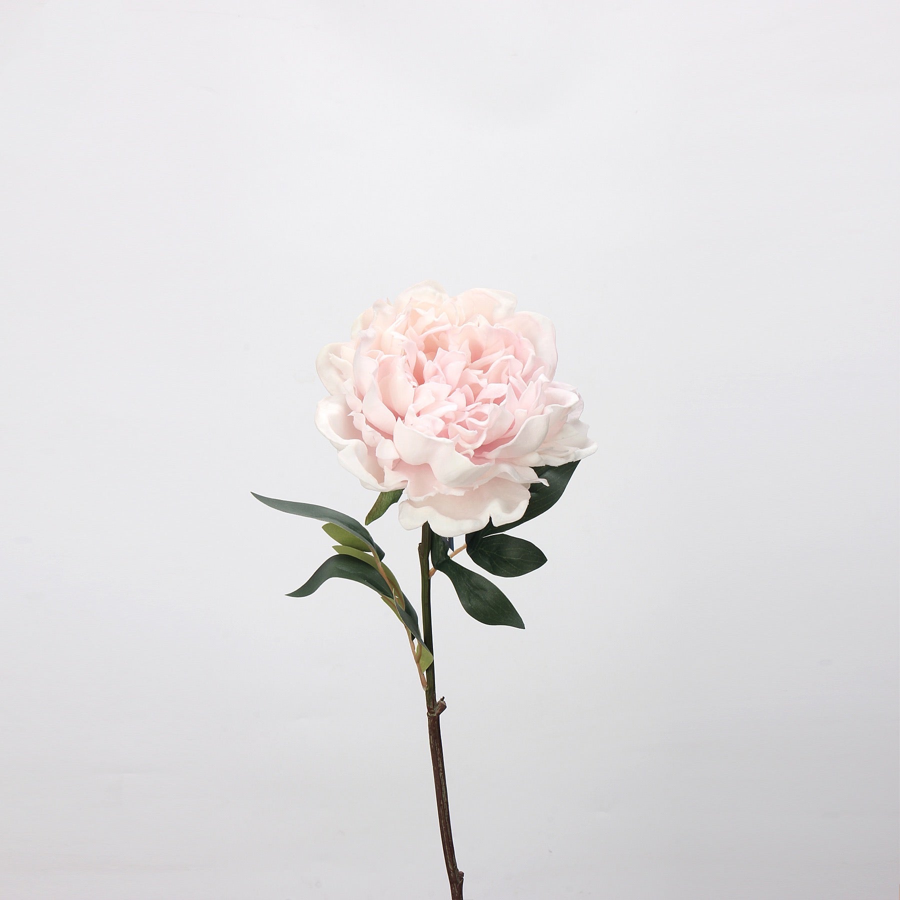 Real Touch Peony Artificial Flower - 24"