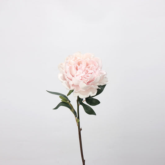 Real-Touch Peony
