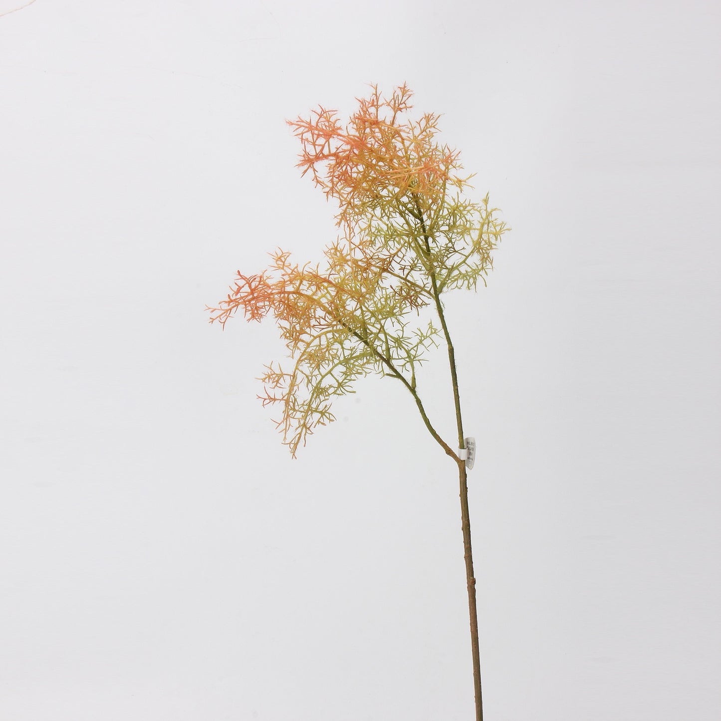 Smoke Tree Elegance Stem-yellow