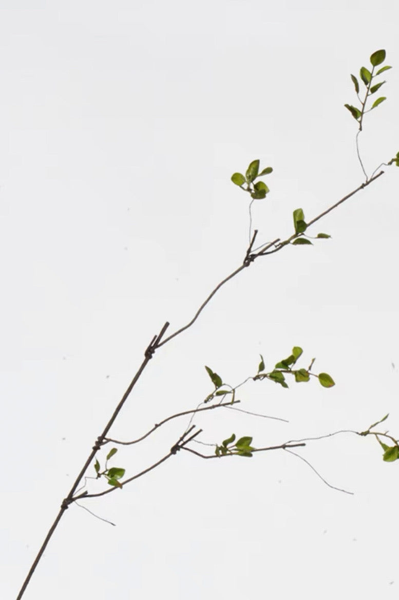 Artificial Autumn Leaves Branch - 39.4"