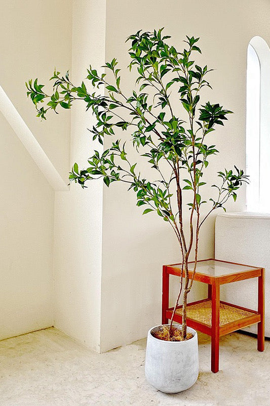 Artificial Japanese Pieris Branch, Tall - 74.8"