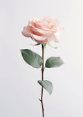 Real Touch Rose Artificial Flower, Pink - 24.4"