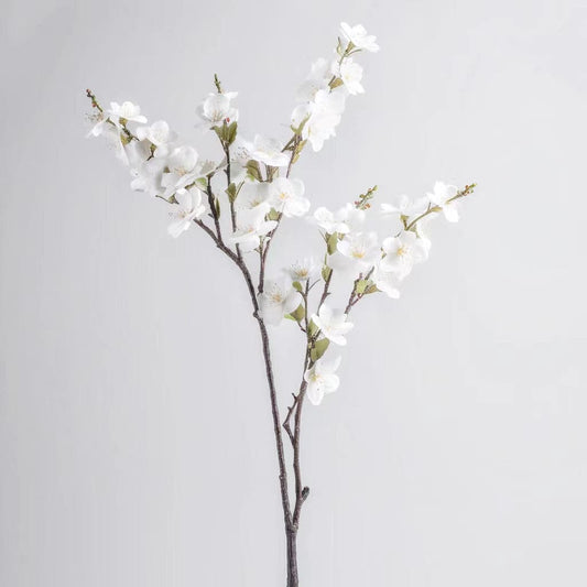 White Cherry Blossoms