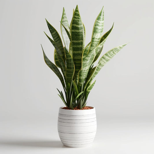 Realistic Artificial Potted Ficus Tree